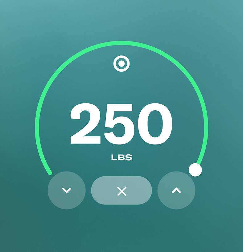 UI displaying showing 250lbs