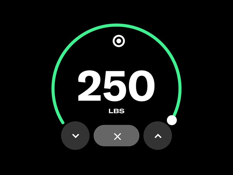 UI showing 250 lbs with arrows to adjust